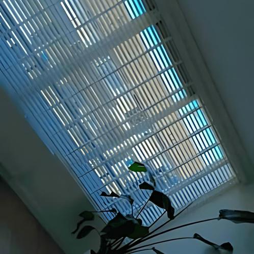 Huis met woonkamer in Den Bosch, Huizen en Kamers, Huizen te huur, Direct bij eigenaar, (Studenten)kamer