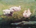 Jacobus Johannes Doeser (1884-1970) - Ducks and a pigeon in, Antiek en Kunst, Kunst | Schilderijen | Klassiek