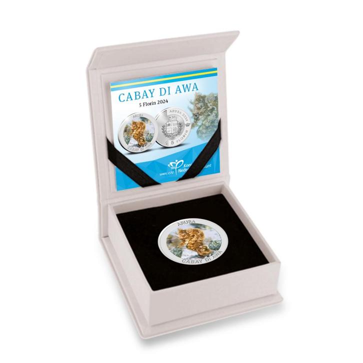 Aruba 5 Florin ‘Cabay di Awa’ 2024 Zilver Proof, Postzegels en Munten, Munten | Nederland, Verzenden
