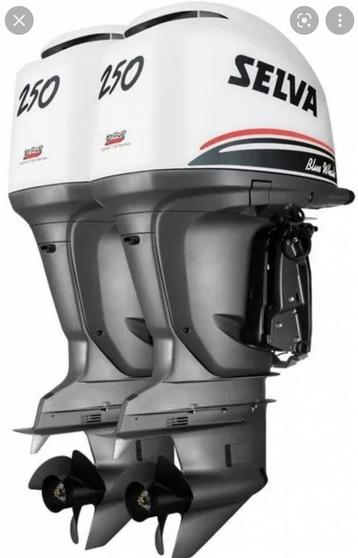 Buitenboordmotor - Selva 250 beschikbaar voor biedingen