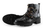 Dolcis Biker boots in maat 39 Zwart | 10% korting, Kleding | Dames, Schoenen, Dolcis, Verzenden, Zwart, Overige typen