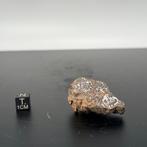 MESOSIDERITO NWA 13858 , Authentieke Zeldzaamheid, slechts 2