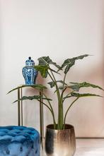 Alocasia Frydek - Olifantsoor | 120 cm - Kunstplant, Huis en Inrichting, Kamerplanten, Verzenden