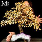 Een exclusieve collectie van unieke en verfijnde stukken -, Verzamelen, Mineralen en Fossielen