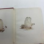Beatrix Potter - The Roly-Poly Puddying - 1908, Antiek en Kunst