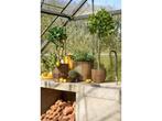 Mica Decorations Durban Bloempot Buiten - Set van 3 - H36 x, Verzenden, Nieuw