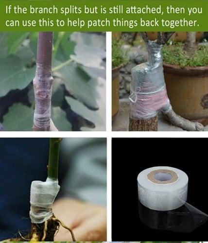 Graftingtape parafilm transparant rol enttape 30 mm, Huis en Inrichting, Woonaccessoires | Kunstplanten en Kunstbloemen, Nieuw