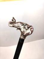 Bastone da passeggio con impugnatura a forma di testa di