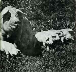 LP gebruikt - Pink Floyd - The Best Of Tour 72 (U.K. 1973..., Cd's en Dvd's, Vinyl | Overige Vinyl, Zo goed als nieuw, Verzenden