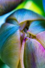 Inna Etuvgi - The Splash of Spring, Antiek en Kunst