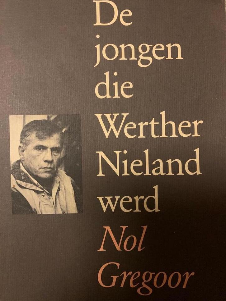 De jongen die Werther Nieland werd 9789063220754 Gregoor, Boeken, Romans, Gelezen, Verzenden