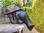 Beeldje - Curious cat - Hars, Antiek en Kunst, Kunst | Designobjecten
