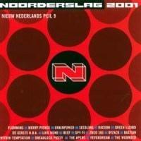 cd - Various - Noorderslag 2001 - Nieuw Nederlands Peil 9, Cd's en Dvd's, Cd's | Overige Cd's, Zo goed als nieuw, Verzenden