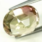 Toermalijn - 15.98 ct - International Gemological Institute, Nieuw