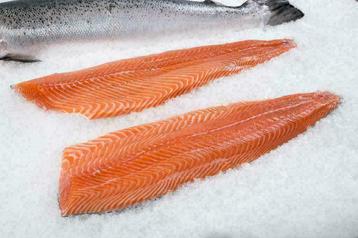 Verse zalm koud/warm gerookte zalm paling thuisbezorgd! beschikbaar voor biedingen