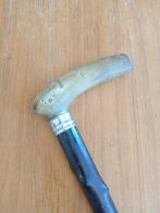 Wandelstok - Hoorn, Hout, Zilver, Antiek en Kunst