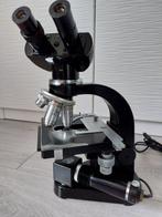 Binocular microscope - SM-D Lux - 1960-1970 - Duitsland -