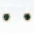 Oorbellen - 14 karaat Geel goud Spinel, Sieraden, Tassen en Uiterlijk, Oorbellen, Nieuw