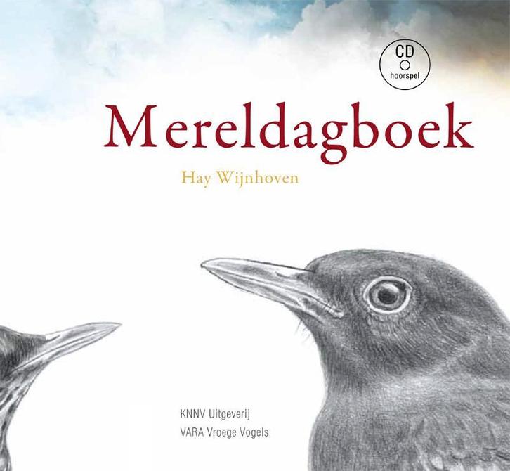 Mereldagboek 9789050113199 Hay Wijnhoven, Boeken, Hobby en Vrije tijd, Zo goed als nieuw, Verzenden