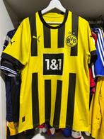 Borrusia Dortmund - Duitse voetbal competitie - 2022 -, Nieuw