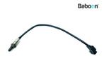 Lambda Sonde Royal Enfield Shotgun 650 2024-, Verzenden, Gebruikt