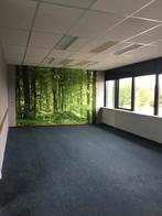 Te huur: Kamer De Omloop in Beilen, Huizen en Kamers, Huizen te huur, (Studenten)kamer, Drenthe, Beilen