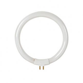 Reservelamp voor loeplamp | Toolland, Doe-het-zelf en Verbouw, Gereedschap | Handgereedschap, Nieuw, Verzenden