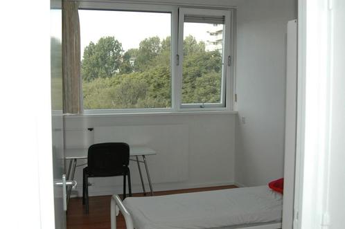 Eigen Kamer aan Roland Holstlaan, Delft, Huizen en Kamers, Kamers te huur, 50 m² of meer, Delft