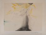 Salvador Dali (1904-1989) - Pégase, Antiek en Kunst