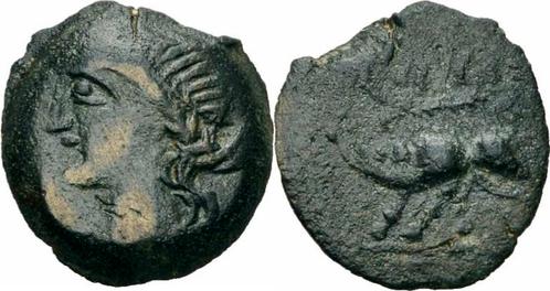120-70 v Chr Kelten Nemausus Nîmes Provincia Bronze Nama/.., Postzegels en Munten, Munten | Europa | Niet-Euromunten, Verzenden