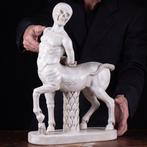 Beeld, Centauro Skeleton - 51 cm - Witte Carrara-marmer -, Antiek en Kunst