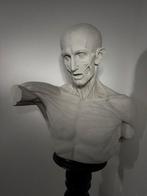 sculptuur, Superbo busto in gesso di un uomo scuoiato - 68, Antiek en Kunst, Antiek | Keramiek en Aardewerk