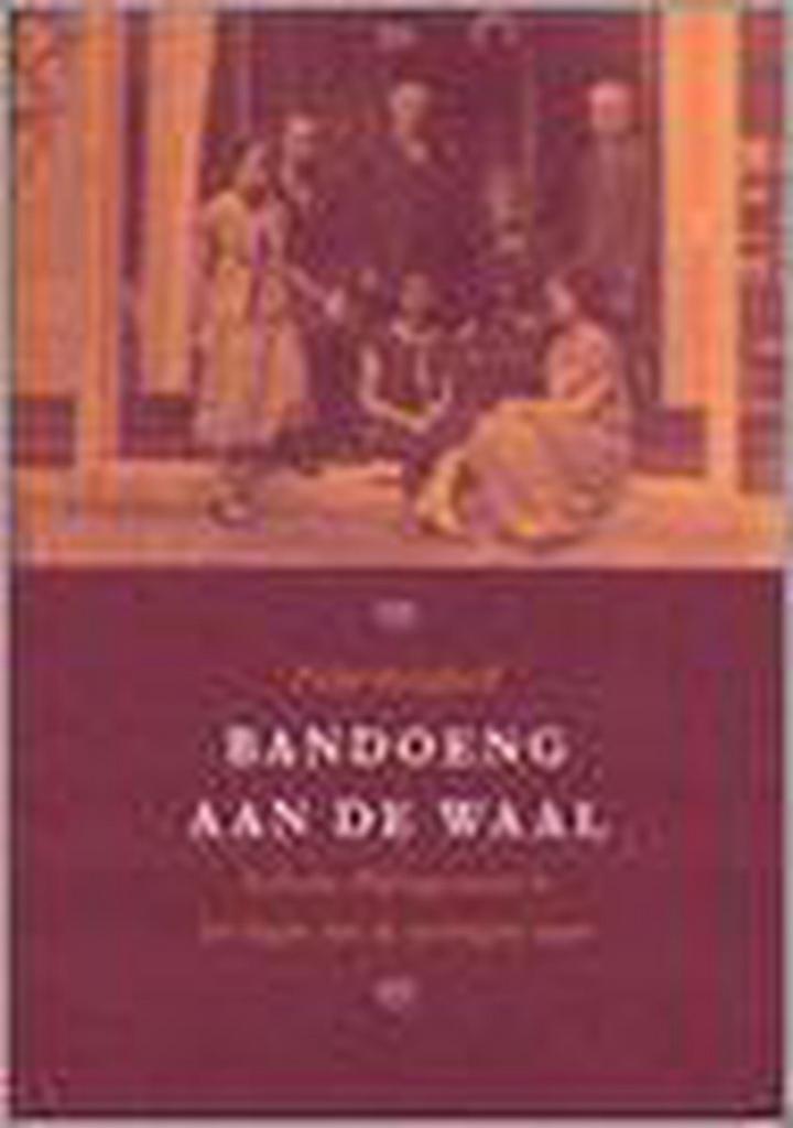 Bandoeng aan de Waal / Nijmegen-reeks / 7 9789074241069, Boeken, Literatuur, Zo goed als nieuw, Verzenden