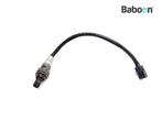 Lambda Sonde Yamaha XP 500 T-Max 2012-2014 (XP530 TMAX, Verzenden, Gebruikt