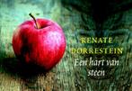 Een hart van steen / Dwarsligger / 142 9789049801335, Boeken, Verzenden, Gelezen, Renate Dorrestein
