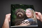 Ben je nu helemáál Bedoodled 9789082095609 Mariëlle Lentjes, Verzenden, Zo goed als nieuw, Mariëlle Lentjes
