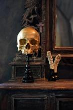 Beeld, FREE SHIPPING EU MAINLAND - Stunning human skull no, Antiek en Kunst, Curiosa en Brocante
