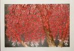 Weeping cherry blossom 29 - Hajime Namiki  (b 1947) -