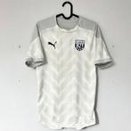 West Bromwich Albion - Engelse voetbalcompetitie - 2018 -, Nieuw