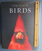 Signed; Tim Flach - Birds by Tim Flach - 2021