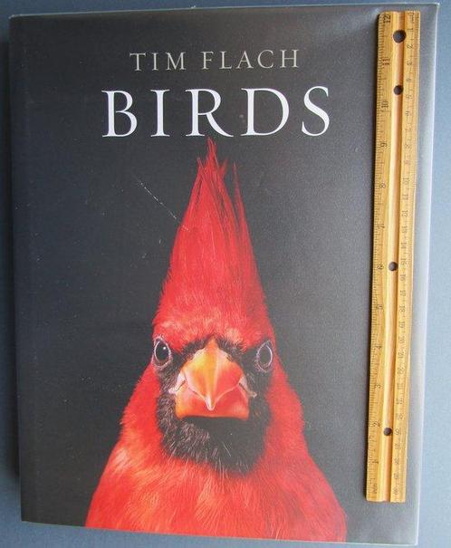 Signed; Tim Flach - Birds by Tim Flach - 2021, Antiek en Kunst, Antiek | Boeken en Bijbels