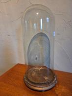 Globe - stolp - antiek - 1901-1920 - Antieke ronde stolp