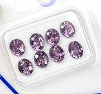 Zonder Minimumprijs - 8 pcs Spinel - 3.66 ct - Antwerp, Nieuw