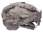 Pine bark Maritima Schors 1 kg Naturel Voordeelnet, Hobby en Vrije tijd, Ophalen of Verzenden, Nieuw