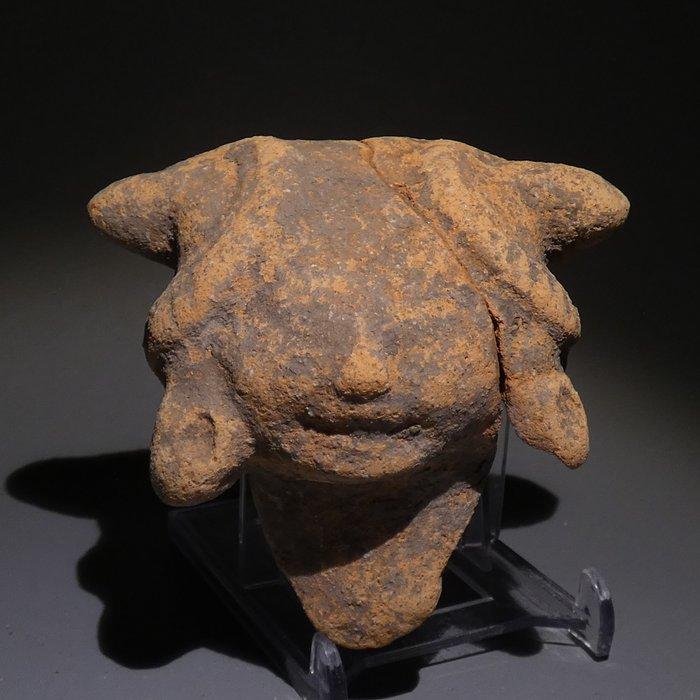 Veracruz, Mexico Terracotta Lachende kop. 8,5 cm H. Spaans, Verzamelen, Mineralen en Fossielen