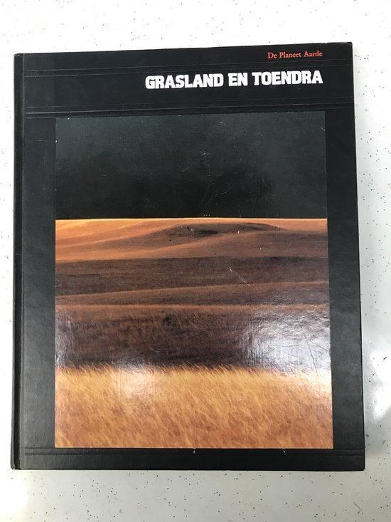 GRASLAND EN TOENDRA 9789061825005 Hans-Heinrich Wellmann, Boeken, Wetenschap, Zo goed als nieuw, Verzenden