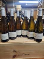 2019 David Moreau, Bourgogne Aligoté - Bourgogne - 6 Flessen, Verzamelen, Wijnen, Nieuw