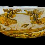 Daum Nancy - Kom - Glas - Oncidium orchideeën kom