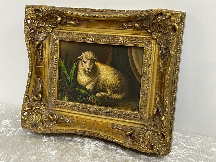 TSL - Liggend Schaap in Barok Lijstje, Antiek en Kunst, Curiosa en Brocante