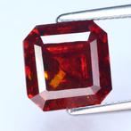 Zonder Minimumprijs Rood Sfaleriet - 10.17 ct - nternational, Nieuw